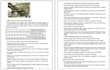 data enty, pdf to word or excel and copy paste work