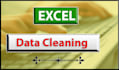 excel data cleaning, excel data entry, data cleanup
