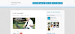 edit wordpress template,  css, fix errors and etc
