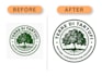 professional vector tracing and recreate your logo