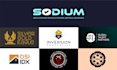 do elegant professional business logo design for you