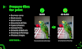 fix bleed and crop marks and print file issues