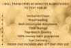 deliver fast professional video and audio transcript
