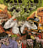 create cover album artwork design for metal  punk album