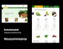 design worldpres and e commerce website