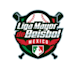 design awesome baseball logo with free source file