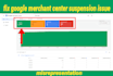 fix google merchant center suspension in 1 day