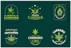 do creative cbd oil cannabis hemp weed marijuana logo