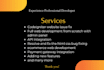 develop codeigniter website professional web developer
