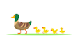 do children book illustration in adobe illustrator