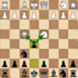 chess coaching sessions beginners to intermediate