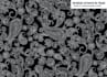 create seamless ethnic chintz jacobean print patterns