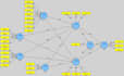 do market research, consumer behavior, and academic research