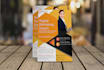 design a stunning corporate flyer