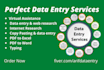 be data entry, web scraping and copy paste, excel data entry