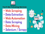 do perfect data entry, web research and copy paste