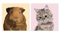draw your pet into vector portrait