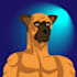do custom nft illustrations and collection design