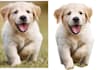 photo editing , background remove