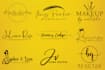 design luxury handwritten, scripted signature logo