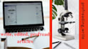 write, edited and proofread articles scientific, medical in 24 hours