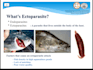 create the interested infographic