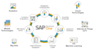 implement erp and do the testing for oracle netsuite