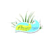 create an imaginative and highly visible logo in 1 day