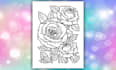 draw custom coloring book pages and line art for amazon KDP
