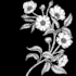 create a dark fantasy or art nouveau illustration for your book or story