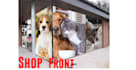 design amazing store front, shop front window graphic design