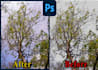 remove background from any complex image in just 30 minutes