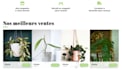 développeur web front end