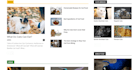 do wp theme installation, theme customization, website modification