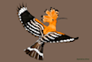 draw domestic and wild animal digital illustration