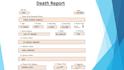 provide  professional data entry service