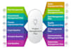 provide project management services and create documents