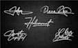 design handwritten, signature logo or autograph for any business