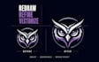 manually vectorize, redraw, and refine your logo