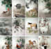 ancient methods from china help you  predict your future destinfuture destiny