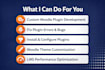 develop, customize, fix or install moodle plugins professionally