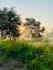 retouch and photoshop naturally