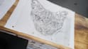draw you a mythical creature