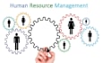 offer consultation on  human resource management