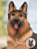 draw yours pet into disney cartoon
