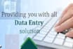 do perfect data entry work, web search and copy paste