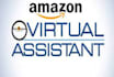 be amazon fba wholesale virtual assistant