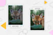 do high quality photoshop editing and product photo retouching