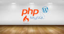 fix or develop any php,codeigniter,laravel,wordpress website