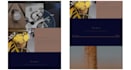 set up and design your shopify website